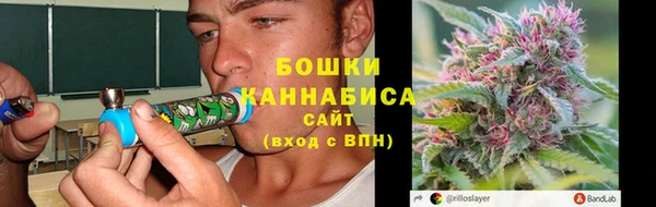 МДПВ Богородицк