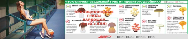 МДПВ Богородицк