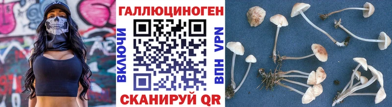 продажа наркотиков  Нарткала  Галлюциногенные грибы Magic Shrooms 